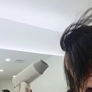 지지지 헤어# | 가벼운 여행용 헤어드라이기 추천, 예쁜데 바람은 괴불급인 에디르 에어캐논S 솔직 후기