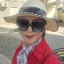 2026/ 8/8/관악역~안양유원지 이미지