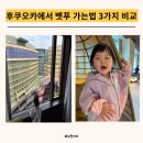 후쿠오카에서 벳푸 가는 법 3가지 (기차 vs 버스 vs 렌트카) + 아기와의 실제 후기