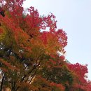 커피한잔 ㅡ수면장애 이미지