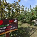 수원-1382 이미지