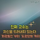 화광 | 진짜 고수는 자신을 드러내지 않는다 - '화광동진'부터 '도광양회'까지