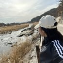 셀프 시력 회복 프로젝트 약 1개월 후기 (광고❌, 시력 변화 과정👌)