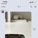 정세영농장 이미지