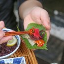 해룸 | 서면 횟집 해룸 전포 회식하기도 좋아요