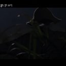 허수아비 이미지