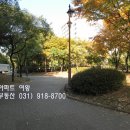 찌마을 이미지