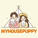 마이하우스퍼피 애견호텔유치원 네이버블로그