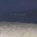 오늘은 장어 이미지