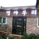 황칠오리 이미지
