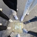 1박2일 강릉여행 차량렌트 카니발 9인승 후기 8명 타기 불편해요. 강릉 중앙시장 강릉카페 곳 사천해변...