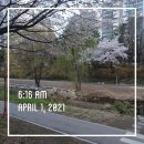 [2024년 3기] 라인이 예뻐지는 라인댄스 | 다이어트. 바디프로필준비. 다빠진다 다이어트 챌린지 7기모집