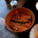 금련산역 | 금련산역맛집 정통 나고야식 히츠마부시 히로 장어 정식 후기