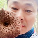 공준호농장 이미지