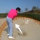 그린벙커 이미지