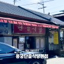 단골식당 | 예천 맛집 용궁단골식당 본점 식사 후기