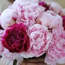 강진호수농장 이미지