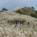 삼성홈플러스입구(2009) 이미지