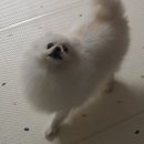 일상