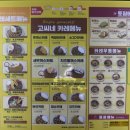 세종스쿨푸드 이미지