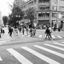 일상의 하루 이미지