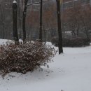 소향공원 이미지