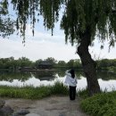 거제역사문화탐방길 | 가족과 함께 무려 4개의 도시 탐방해 보기(논산→부여→대전→공주)_day1️⃣