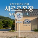 포천 감성 카페 발견🐄 억새밭 뷰에 목장 아이스크림까지 사르르목장 방문후기