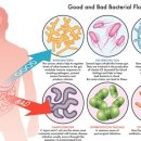 마음담은한의원 이미지