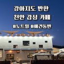 서부대로 | [공지] 천안강아지카페 노트밀 추천 🐶 루프탑까지 완벽했던 천안노트밀 후기