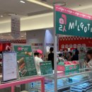 보성군청 지하1층(서) | 2026.04.11 서면 롯데백화점 팝업스토어 지하1층 방문 후기/디저트페어/얼렁뚱땅상점/서면놀거리추천