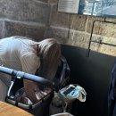 시드니 서큘러키 맛집 그라나 파스타 워크인 / 메시나 젤라또 후기