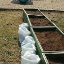 관인어린이집 이미지