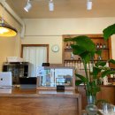 바바아시(babaasi) 이미지