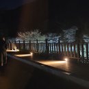 부산찍고 경주 이미지