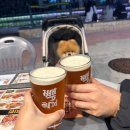 라베니체9차 | [김포 맛집]백스비어(PAIK&#39;S BEER) 장기점(라베니체 맛집, 김포 야장 술집,빽라거 후기, 내돈내산)