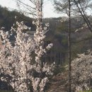 광림수도원
