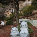 장덕칼국수 이미지