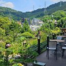 영국수