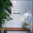 문릿(Moonlit) 이미지