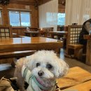 웰빙쌈밥 이미지