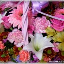 호산초등학교 이미지