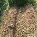 대형슈퍼 이미지