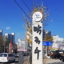 속초수요미식회 맛집 / 남경막국수 기대이상인데요!!(내돈내산)