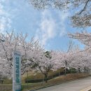 신석체육공원 입구 이미지