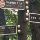 보은약수터 이미지
