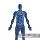 웨이트 트레이닝 | 울산 북구 PT/ 웨이트 트레이닝 후기 몸이 달라지니 일상이 달라지더라