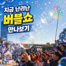 키즈하버드어린이집 | 버블쇼 섭외문의 하동 광양 지역축제 기업행사 비누방울 공연 후기사진