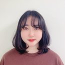 헤어바라기 이미지