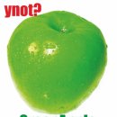 와이낫(YNOT) 이미지